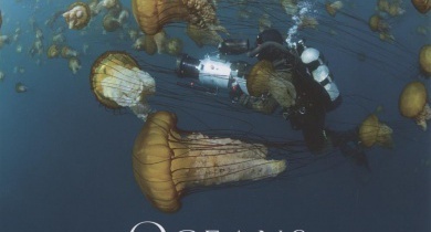 Affiche du spectacle