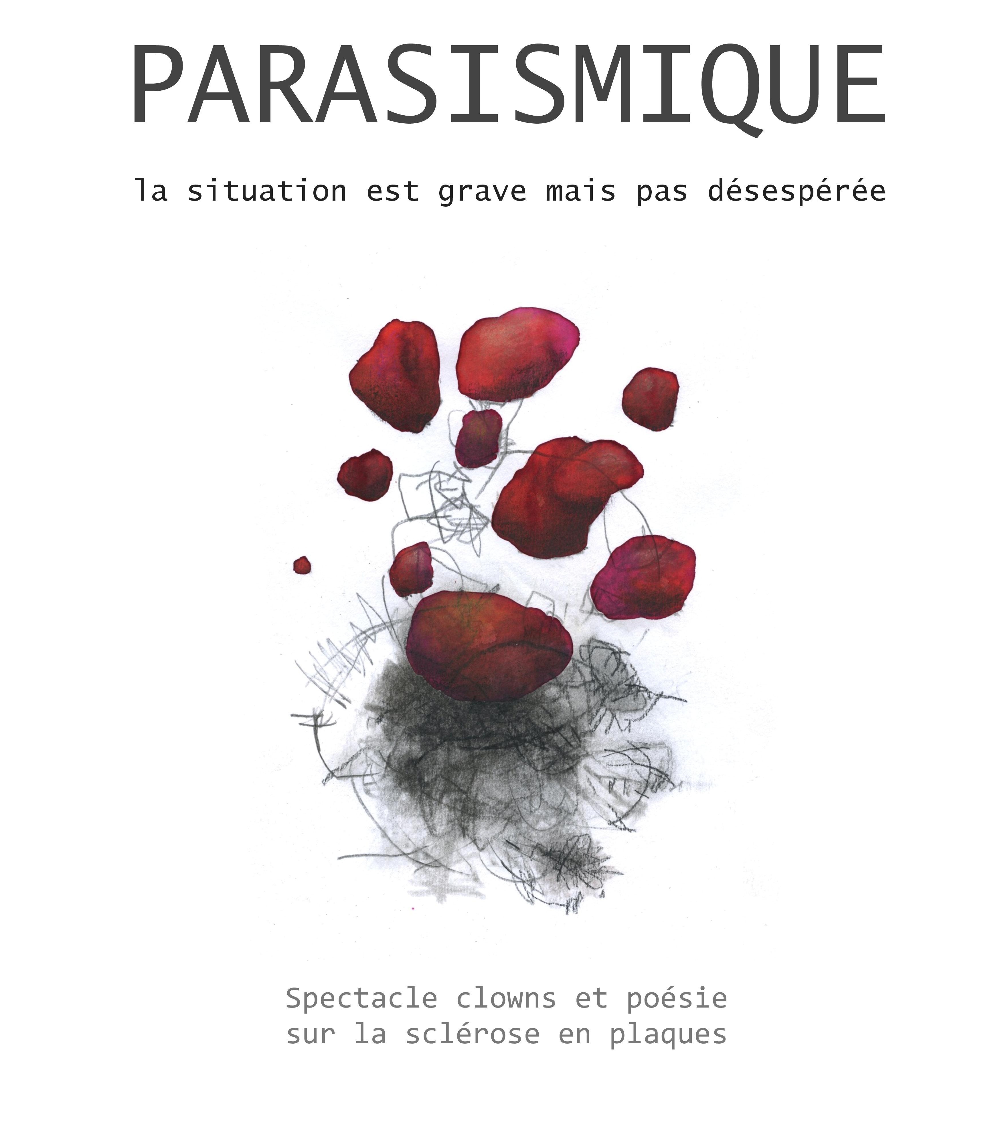 Affiche du spectacle