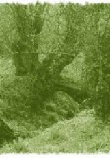 Affiche du spectacle